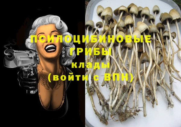mdma Каменка