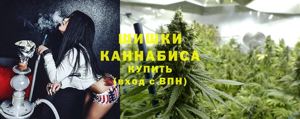 mdma Каменка