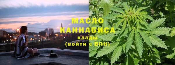 скорость Каменногорск