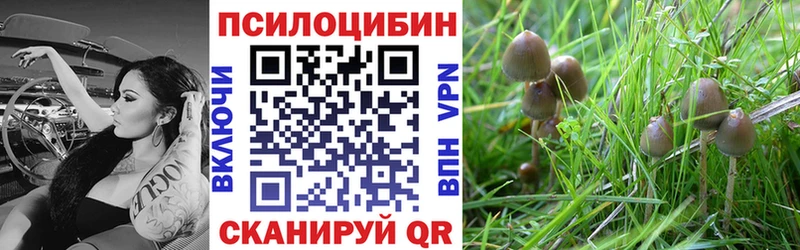 Галлюциногенные грибы мицелий  Купить где  Нея 